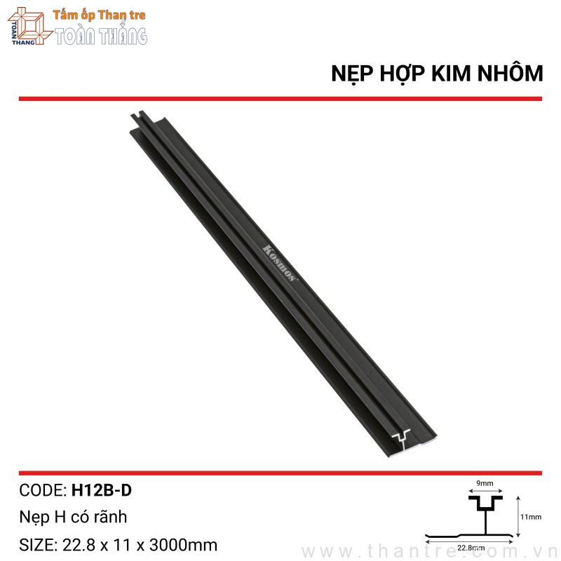 Nẹp H có rãnh màu Đen H12B-D 1 Nẹp H có rãnh màu Đen H12B-D