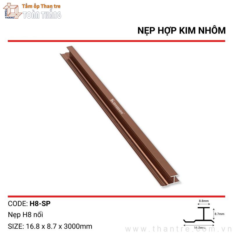 Nẹp nhôm chữ H màu Sâm panh 1 Nẹp nhôm chữ H màu Sâm panh