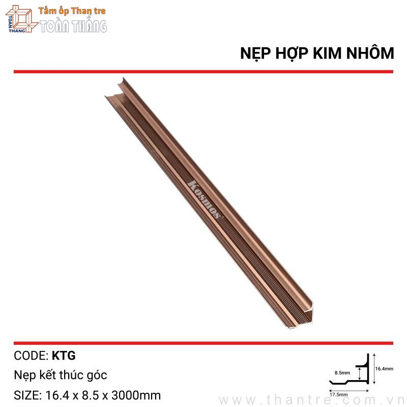 Nẹp góc trong màu Sâm panh