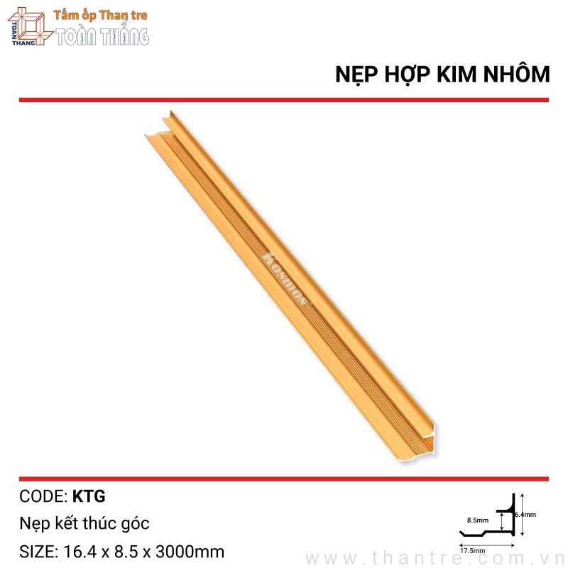 Nẹp góc trong màu Vàng gold
