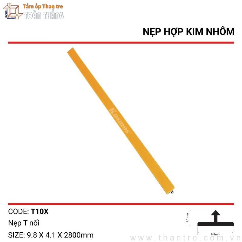 Nẹp nối chữ T10X màu vàng Gold 1 Nẹp nối chữ T10X màu vàng Gold