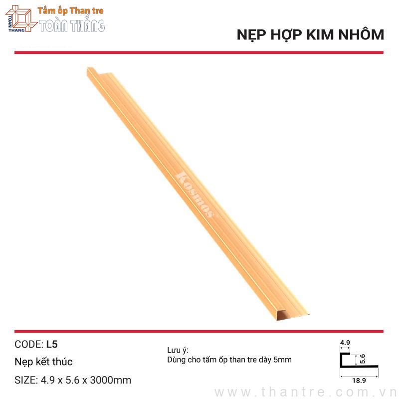 Nẹp kết thúc L5 màu Vàng 1 Nẹp kết thúc L5 màu Vàng