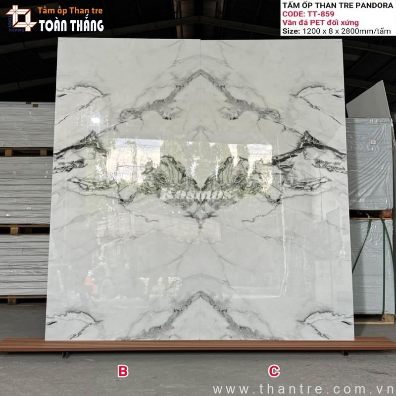 15+ Mẫu Tấm ốp than tre vân đá đối xứng, cân đối đẹp 8 Tấm ốp than tre vân đá đối xứng TT-859 BC